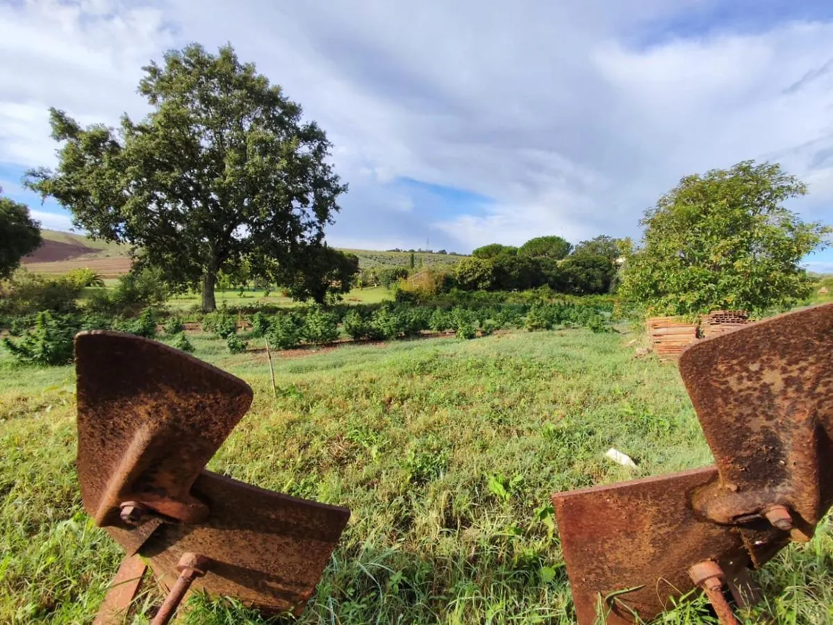 Agriturismo Il Borgo Della Canapa San Benedetto
