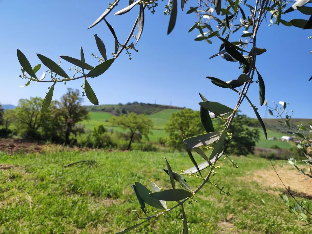 Agriturismo Il Borgo Della Canapa Apartment San Benedetto  0*, San Benedetto (Tuscany)