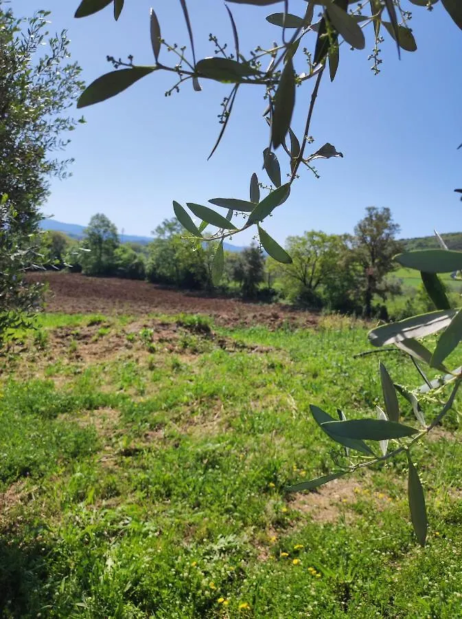 Agriturismo Il Borgo Della Canapa San Benedetto  0*, San Benedetto (Tuscany)