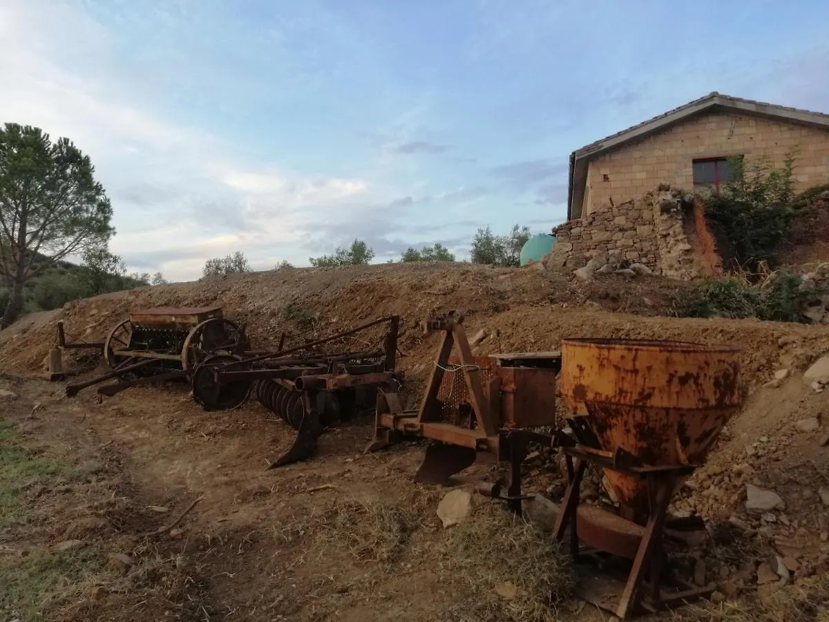 Agriturismo Il Borgo Della Canapa San Benedetto  Apartment