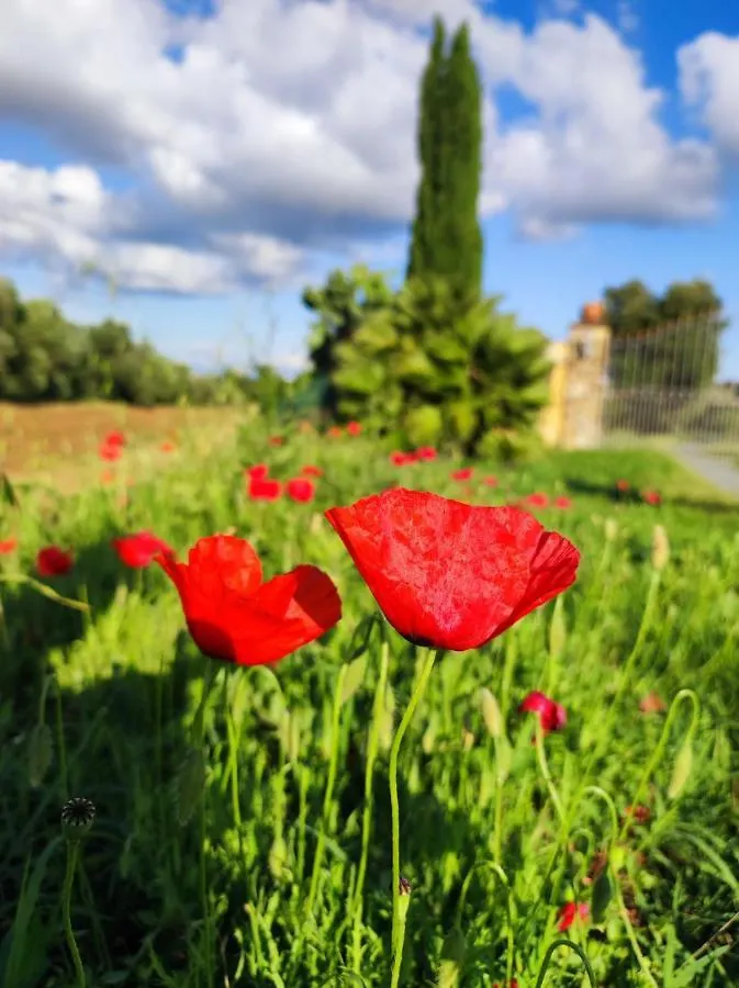 Apartment Agriturismo Il Borgo Della Canapa San Benedetto  Italy