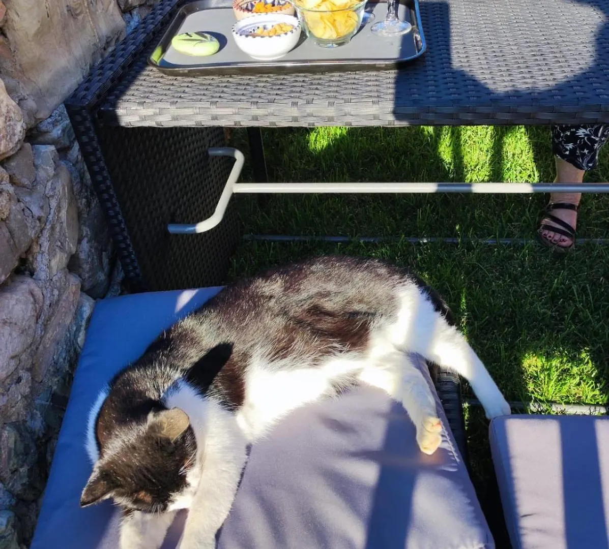Agriturismo Il Borgo Della Canapa San Benedetto  Italy