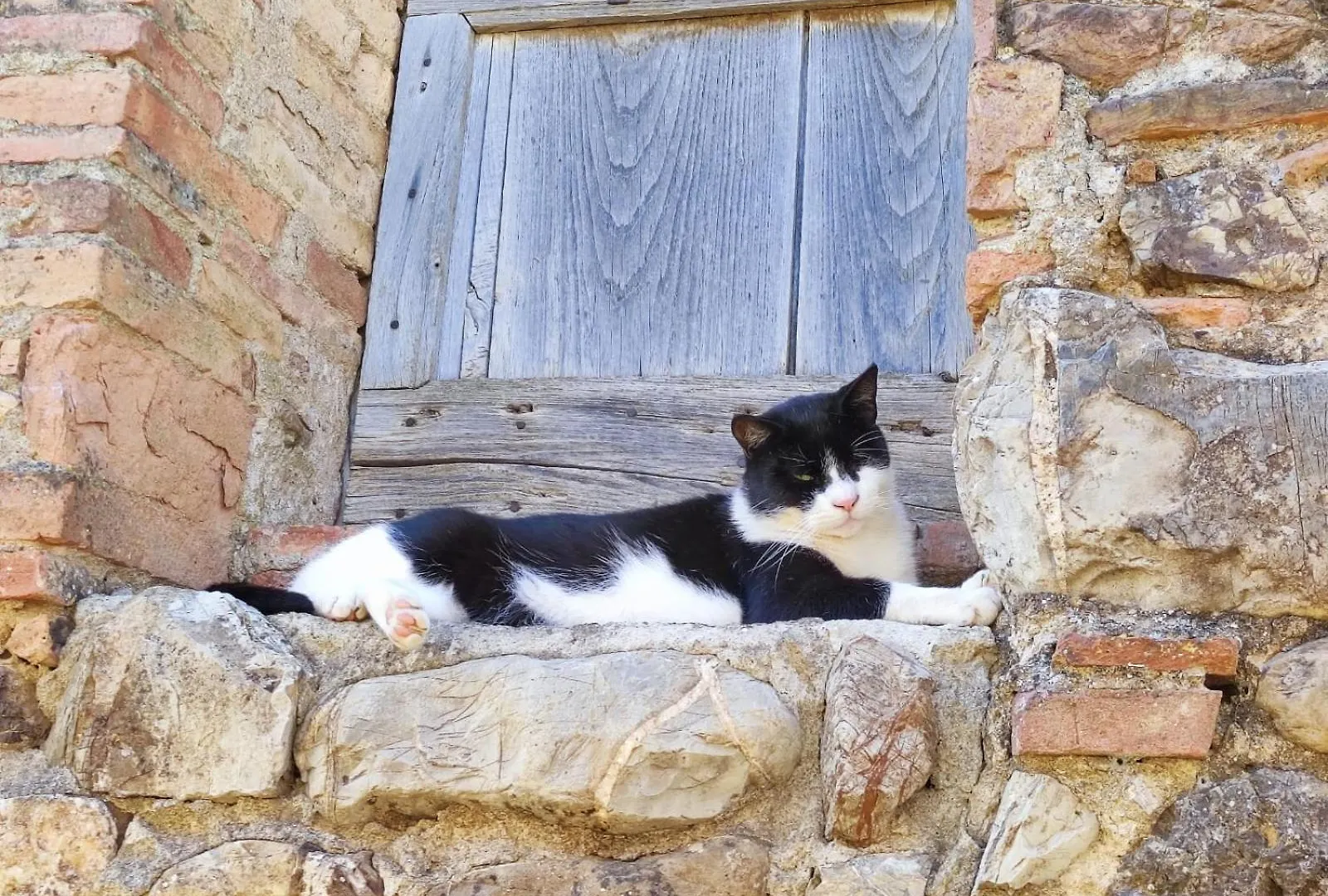 Agriturismo Il Borgo Della Canapa San Benedetto  0*, San Benedetto (Tuscany)